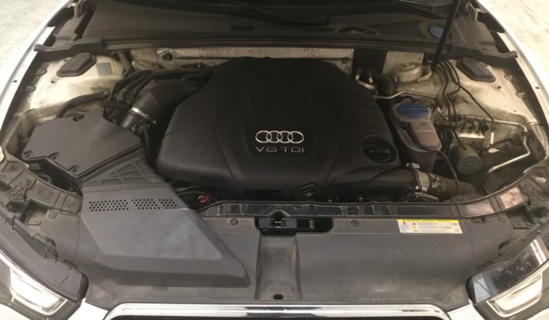 AUDI A5 8T 3.0 TDI 245CV CABRIO QUATTRO pieno